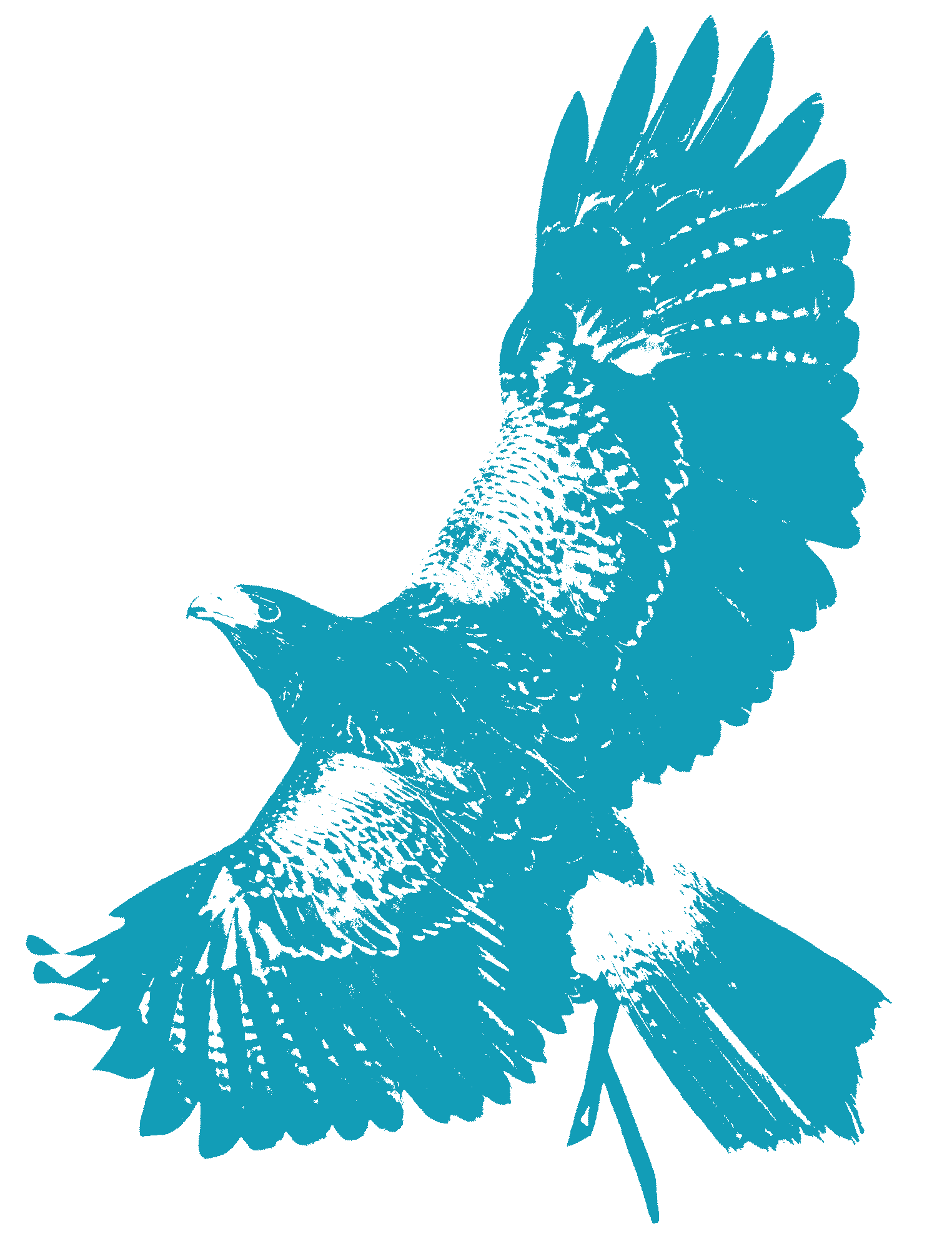 Penzhorn Adler Seminar